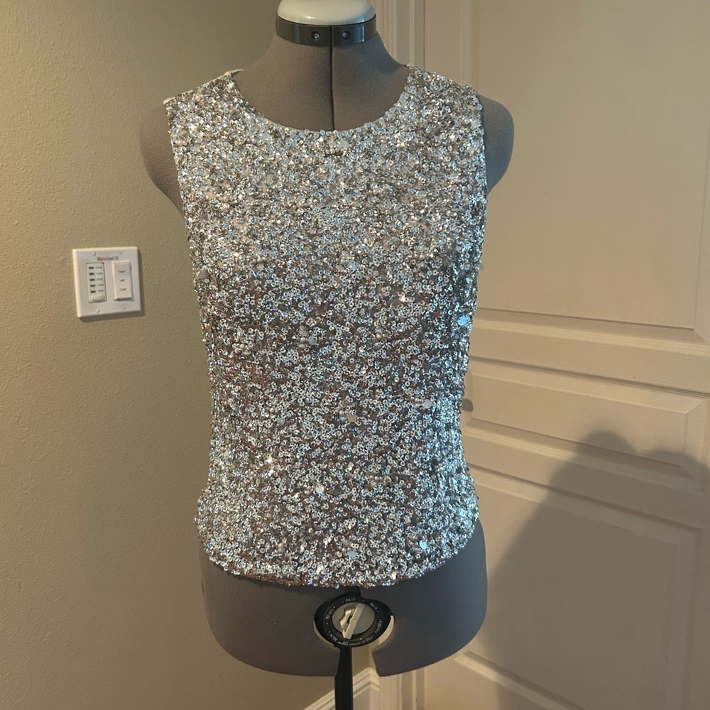 Express Sparkling Silver Sleeveless Blouse